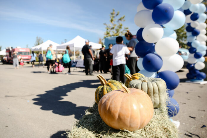 image taken at festival of good of pumpkin on hay bale with a blue balloon arch
